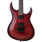 Washburn: WM24 Renegade