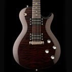 Paul Reed Smith: SE Fredrik Akesson