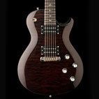 Paul Reed Smith: SE Fredrik Akesson