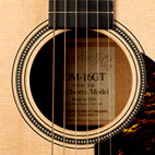 Martin: M-16GT