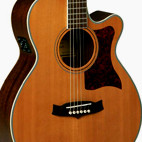 Tanglewood: TW45 NS