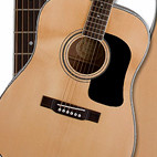 Washburn: G20