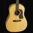 Washburn: D25