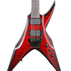 DBZ Guitars: Bird Of Prey