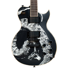 Artist Series Guitar: Limited Edition Series