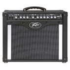 Peavey: Envoy 110
