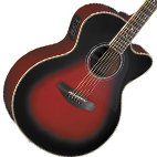 Takamine: ED51SC