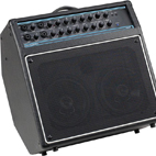 Acoustic: AG60