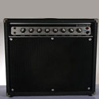 Rickenbacker: TR-25