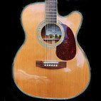 Zager: ZAD80CE