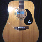 Epiphone: FT-160N