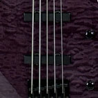 Peavey: Millennium 5 BXP