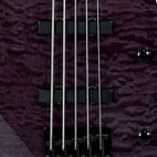 Peavey: Millennium 5 BXP