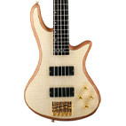 Schecter: Stiletto Custom-5