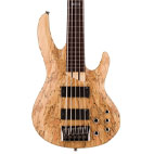 ESP: LTD B-205SMFL