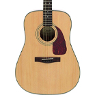 Fender: DG-20S