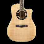 Fender: T-Bucket 400 CE