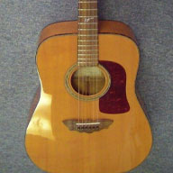 Washburn: D31S 1998