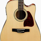 Ibanez: AW140QMECE