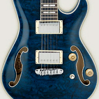 Ibanez: AWD83TBL