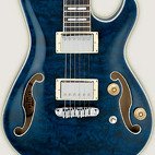 Ibanez: AWD83TBL