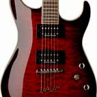 Washburn: X50