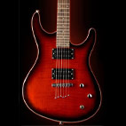 Washburn: RX22
