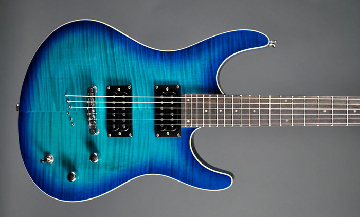 Washburn: RX22 | Pictures @ Ultimate-Guitar.Com