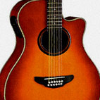 Yamaha: APX5A-12