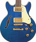 Jay Turser: JT-134DC