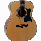 Tanglewood: TW170 AS