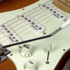 Austin: ERA Professional Standard