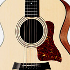 Taylor: 214