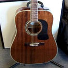 Washburn: D100M