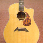 Breedlove: Performance Focus D