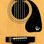 Epiphone: PR-350CE