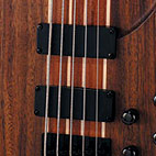 Peavey: Grind 5 BXP
