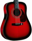 Fender: DG-22S