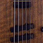 Warwick: Thumb 5-String Bass