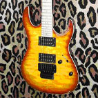TTM Supershop Guitars: Devastator