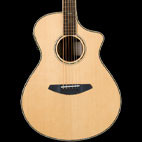 Breedlove: Stage Concert