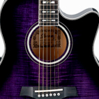 Ibanez: AEF30E