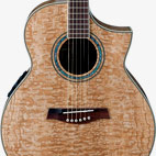 Ibanez: EW20ASE