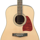 Ibanez: AW40