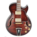 Ibanez: AG95