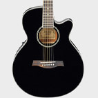 Ibanez: AEG8E