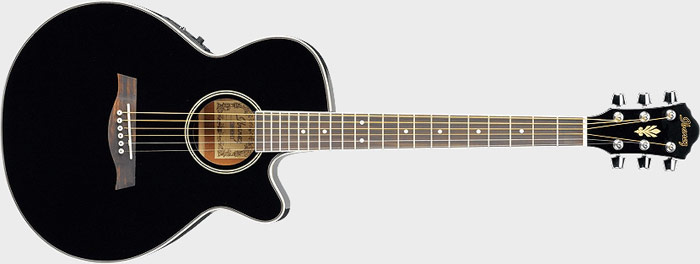 ギター Ibanez AEG8E AEG8E | Ibanez Wiki | Fandom
