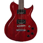 Washburn: WI65PRO