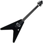 Washburn: WV66GT