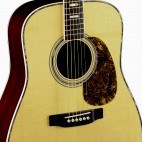 Martin: D-41